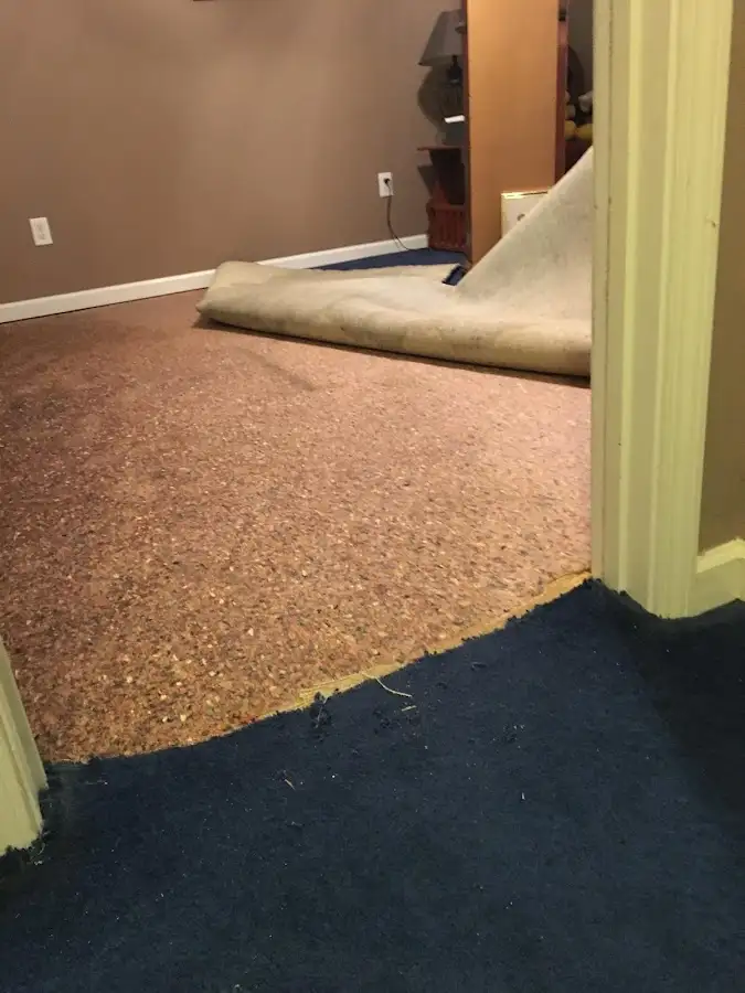 Carpet pad removal revealing water damage during Water Mitigation Services in Mountlake Terrace