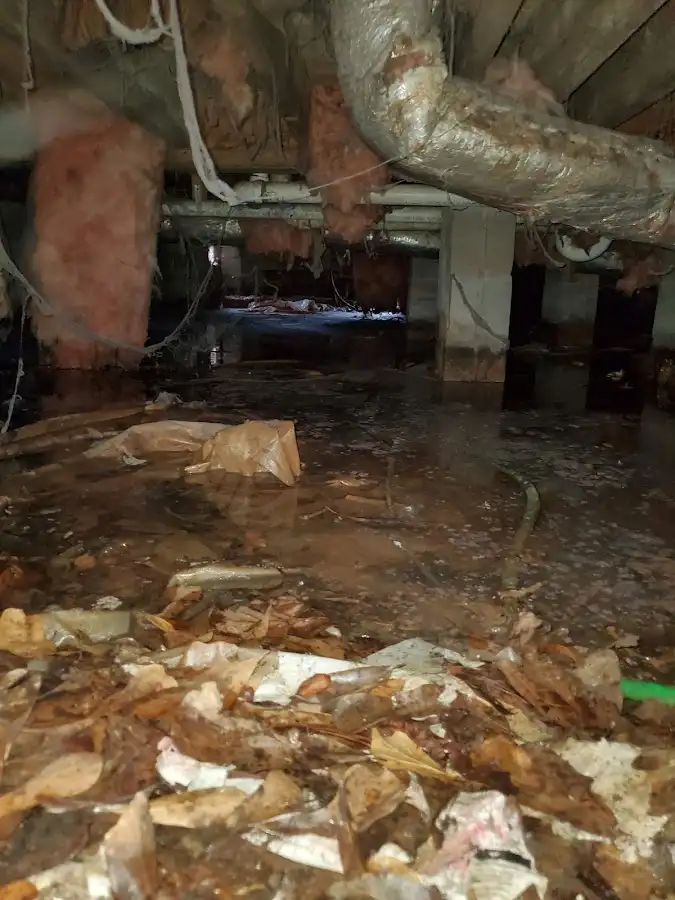 Crawl space flood assessment for Leak Detection & Repair in Mountlake Terrace