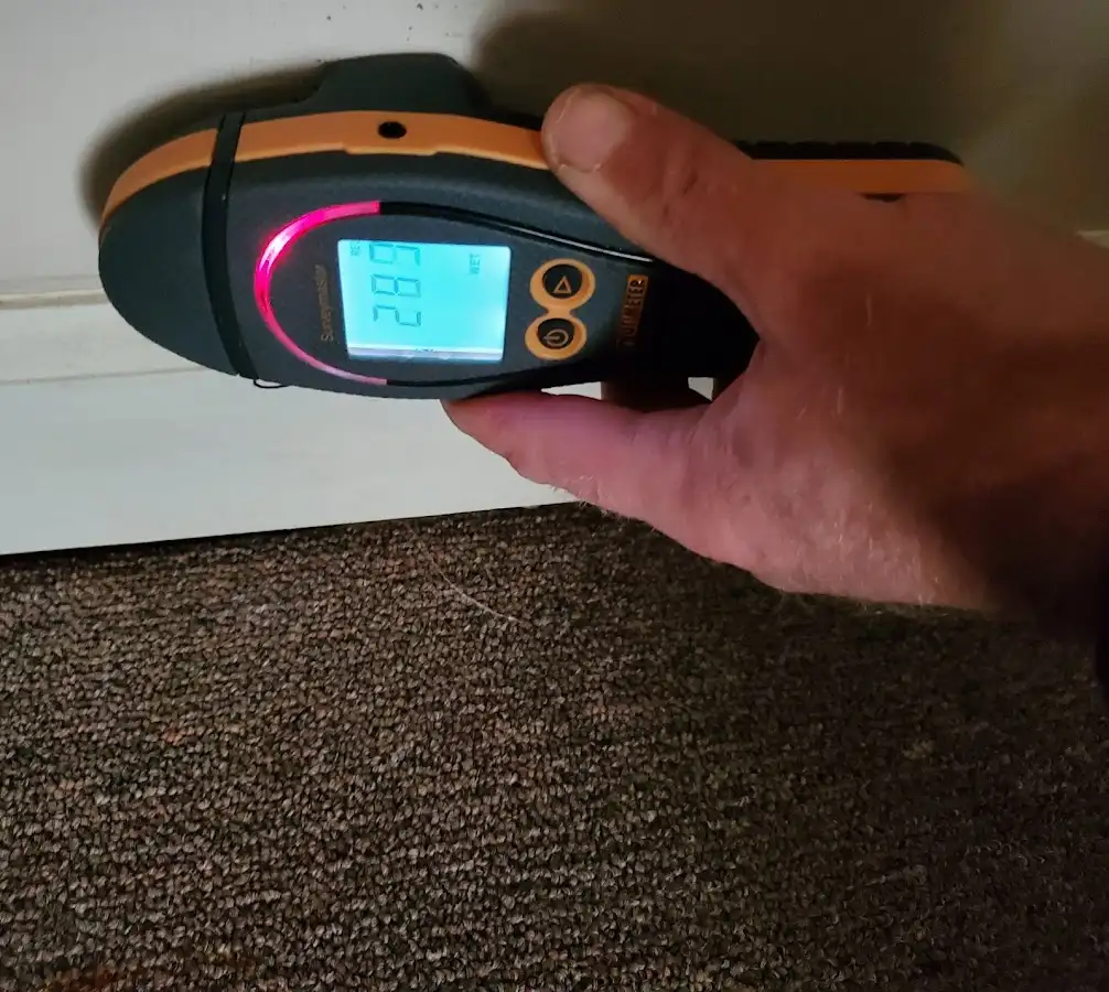 Moisture detection at baseboard during Burst Pipe Cleanup in Mountlake Terrace